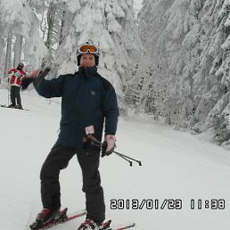 ���� ������, ���������, 79 ��� - ��������� 6 ������� 2023