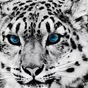 ���� ������, ����, 53 ���� - ��������� 3 ������ 2023 � ������ ���� ����������