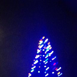 ���� ��������, �������, 41 ��� - ��������� 1 ������� 2023