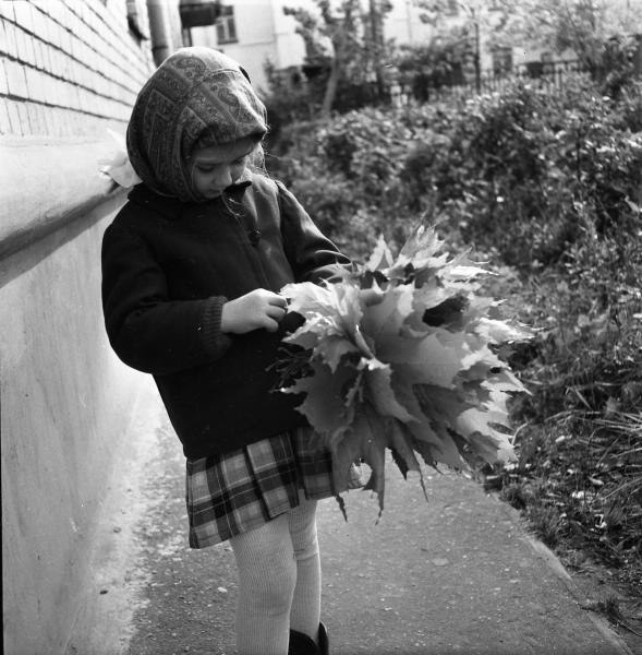   "     ", 1979 .