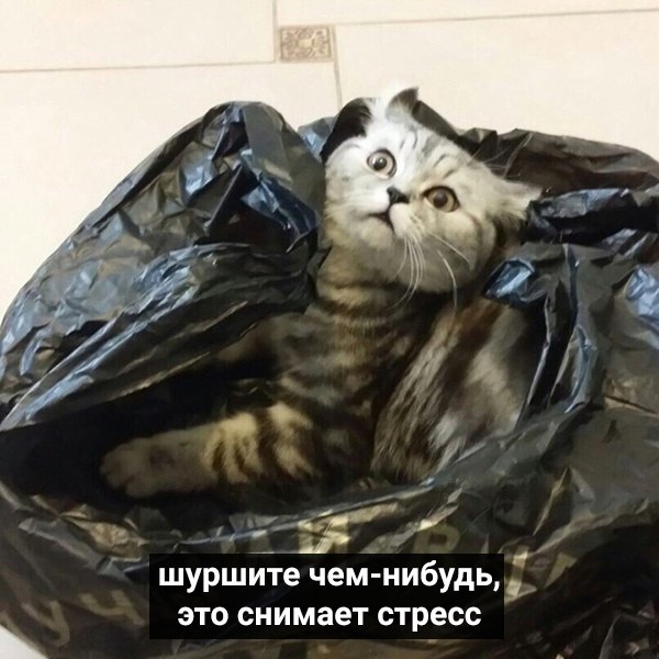    .    - 2