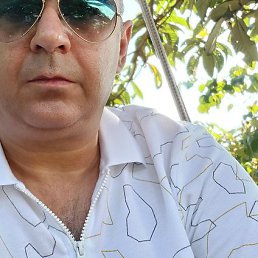 David, ������, 48 ���