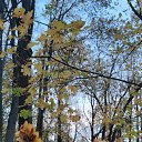 ���� ������, �����������, 72 ���� - ��������� 13 ������� 2022