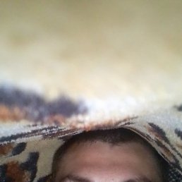 Gf, , 22 