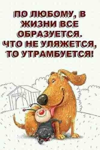   - 27  2022  14:25