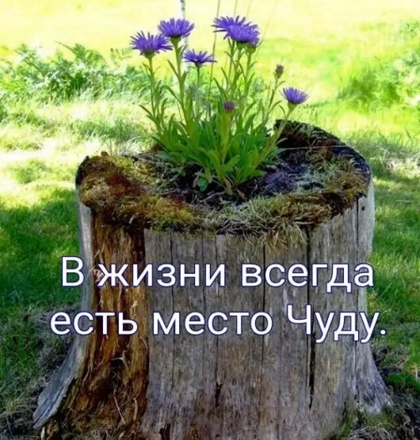  - 14  2022  08:23