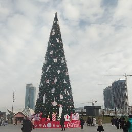 ���������������, �������, 38 ���