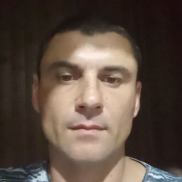 ������, �����-���������, 41 ���