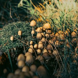 Maria, �����, 21 ���