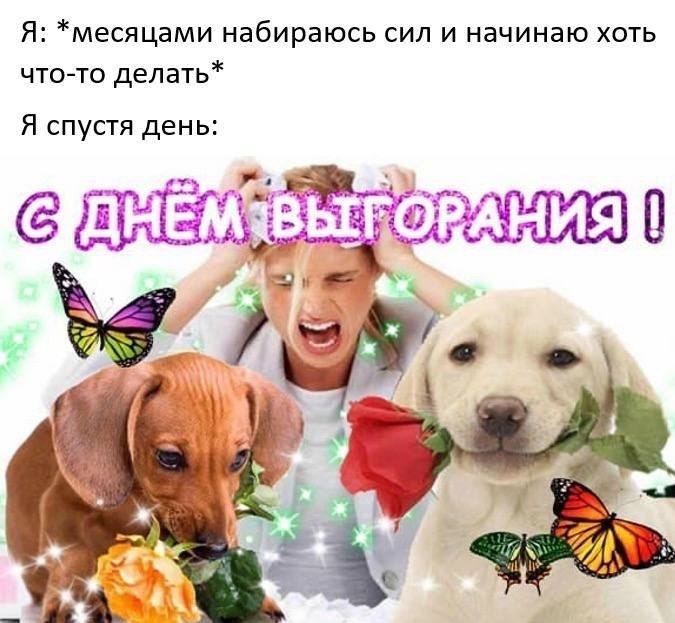 ��� �������� �������� - 21 �������� 2022 � 17:18