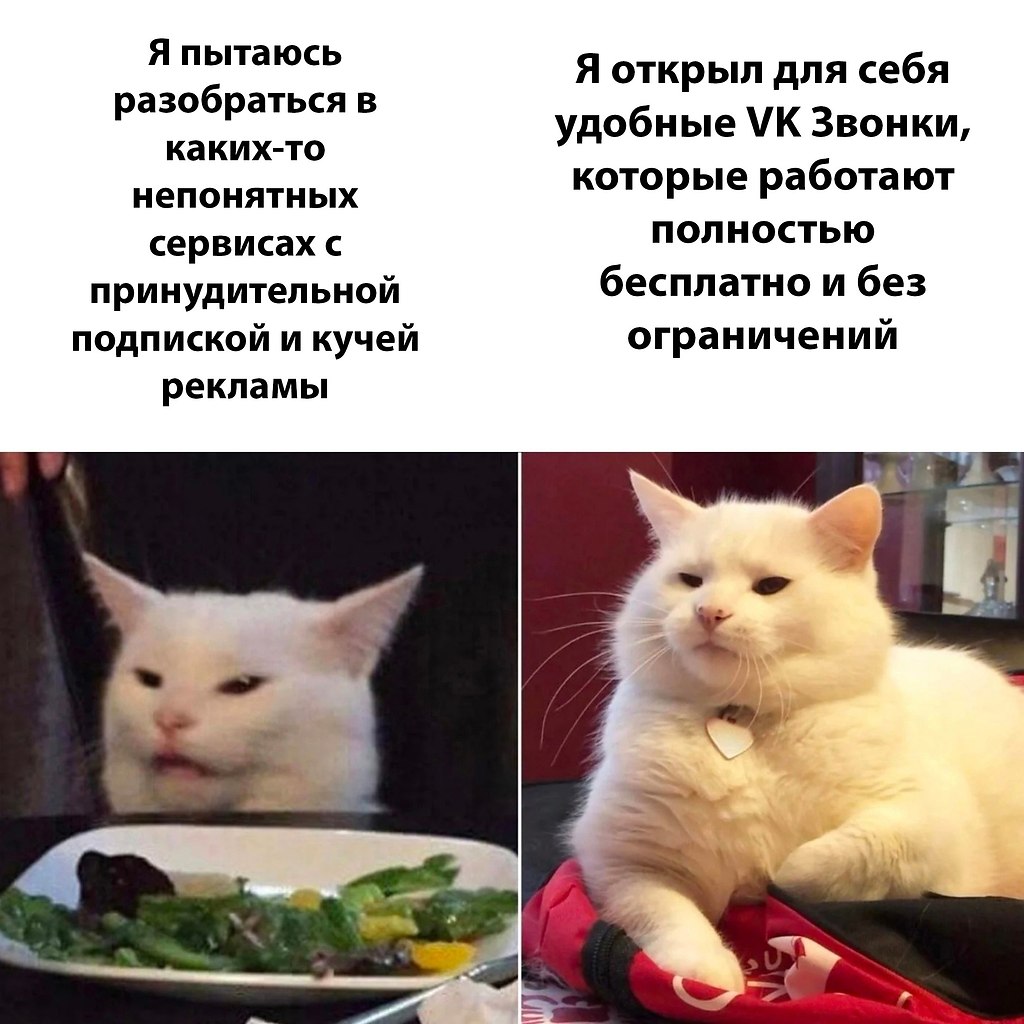   -  ,  -  - 21  2022  17:08