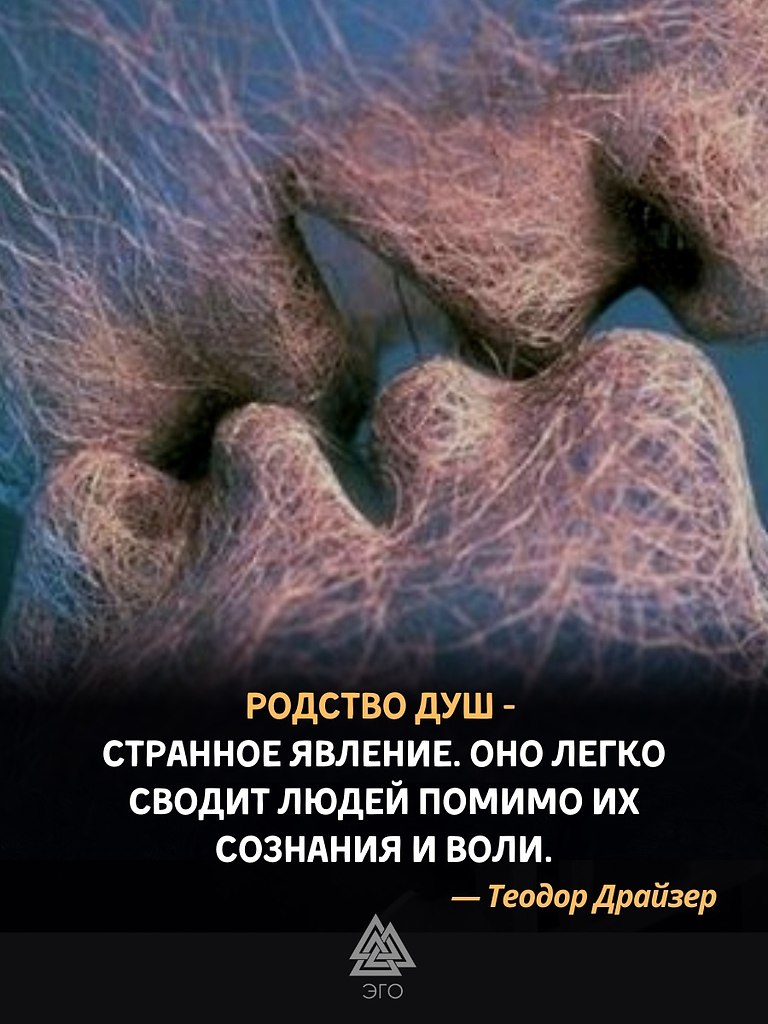  ,     -   .     ?