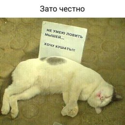 ���� Dmitriy, ���������, 49 ��� - ��������� 29 ��� 2022