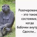  , , 49  -  19  2023    