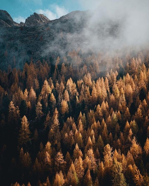   - 3