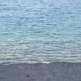 �������, �������, 52 ����