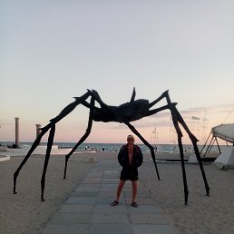 , , 48 