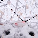 ���� �����, ���� - ��������� 19 ������� 2023 � ������ ���� ����������