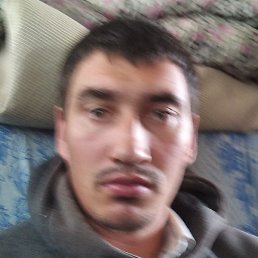 ������, ������, 33 ����