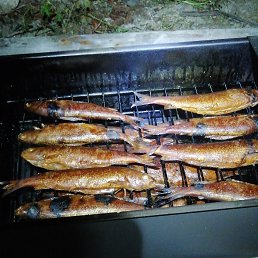 ���� ������, ������� - ��������� 10 ������� 2023