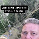 ���� ����, �������, 57 ��� - ��������� 24 ������ 2022 � ������ ���� ����������