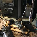 ���� ��������� 8), �����-��������� - ��������� 31 ������� 2022 � ������ ������� ������� 2022�