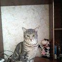 ���� �������, ������, 47 ��� - ��������� 22 ������� 2022 � ������ ���� ����������