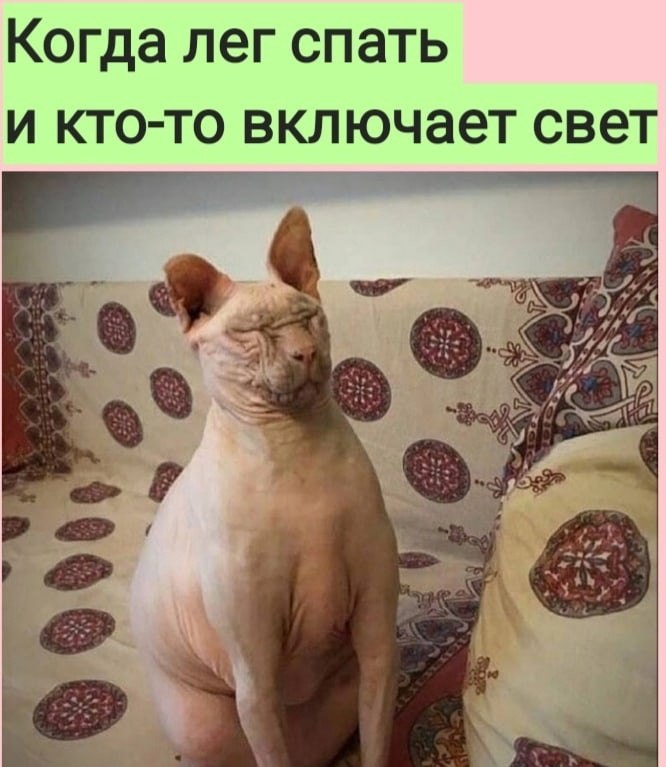   :D - 3  2022  08:06