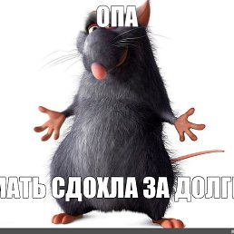 ����, ������������, 26 ���