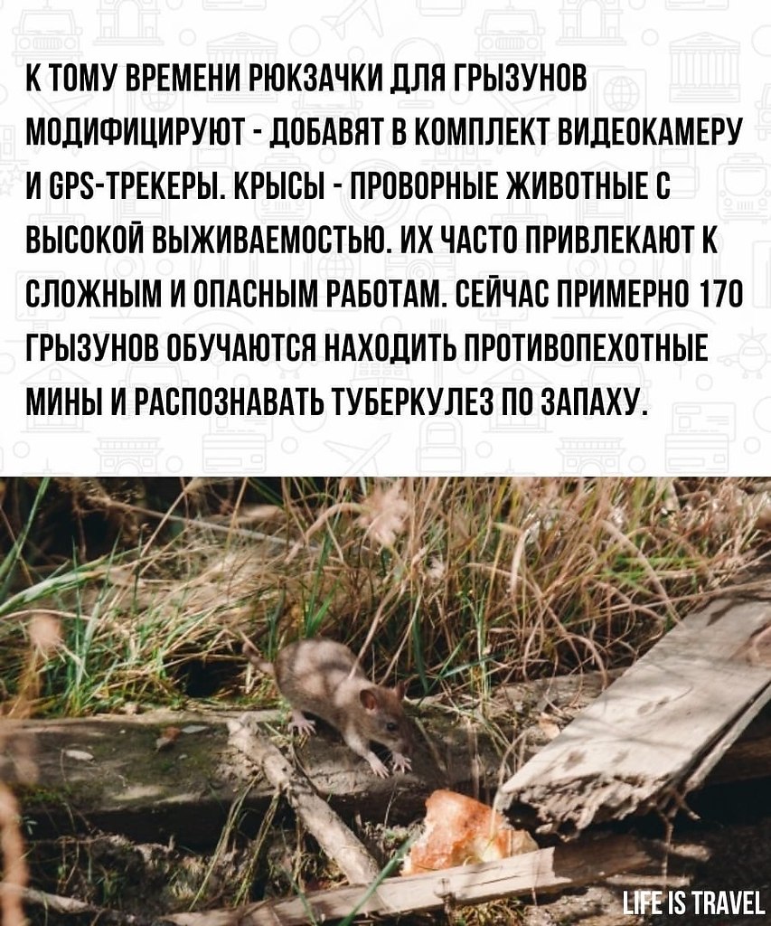 LIFE -  - 9  2022  15:54 - 4