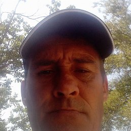 �������, ���������, 46 ���