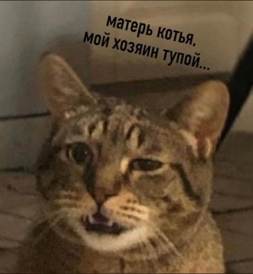    - 30  2022  13:40