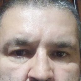 ����, ������, 45 ���