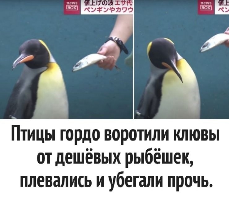    ..    ,    . - 3