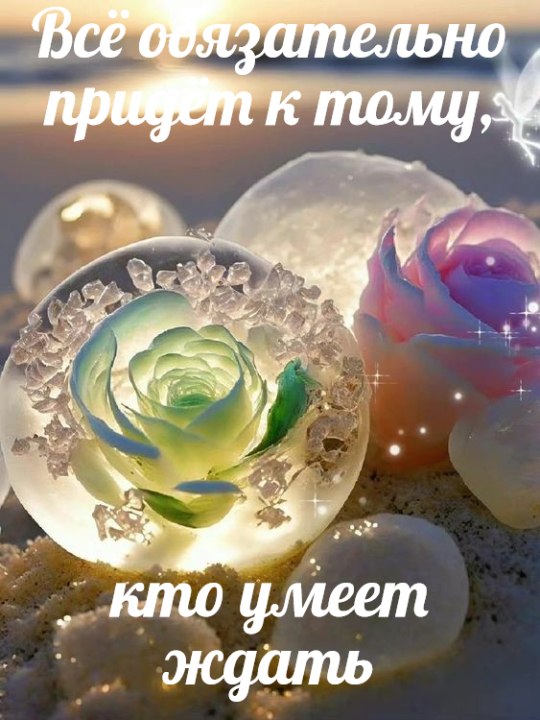   - 11  2023  14:00