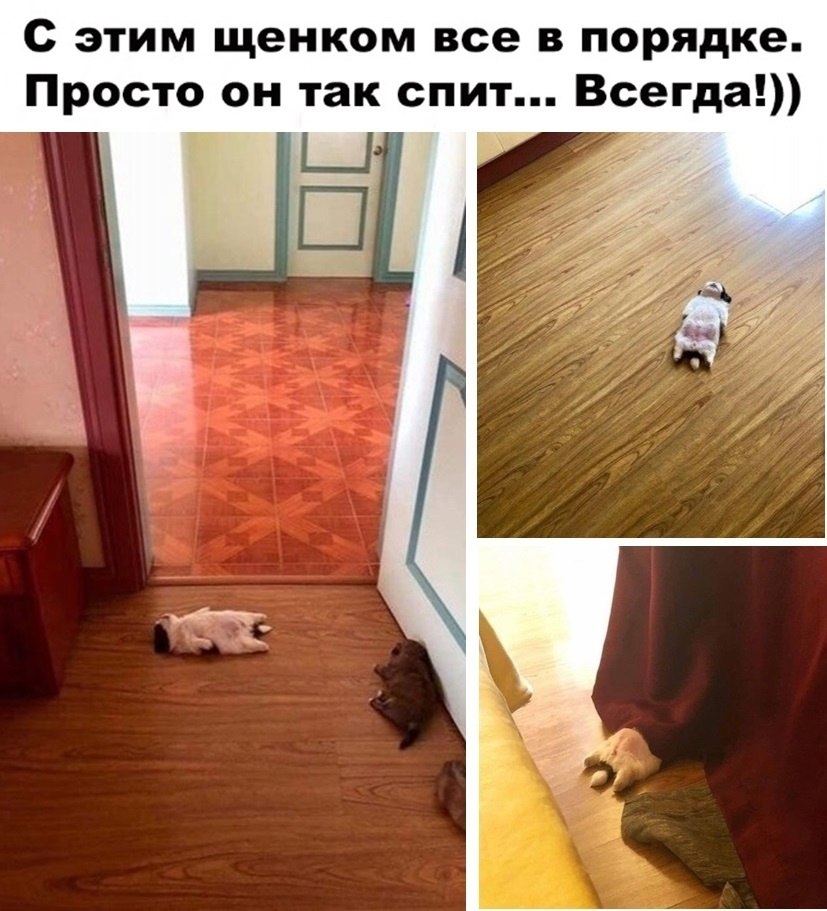   -  ,  -  - 29  2022  07:26