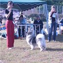 ���� �������, �����-���������, 59 ��� - ��������� 27 ������� 2022