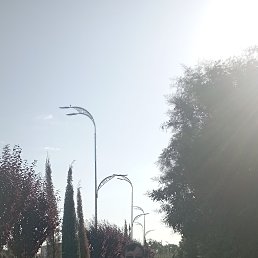  , , 41  -  12  2022