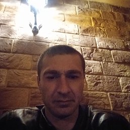  , , 37  -  8  2022