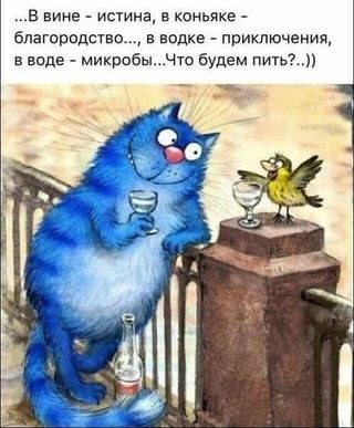   ! - 4  2022  19:36