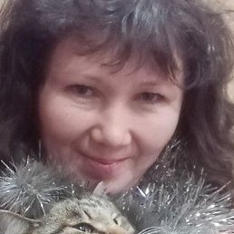 ��������, �������, 46 ���