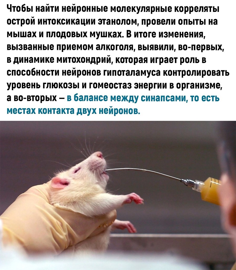  ,    - 2