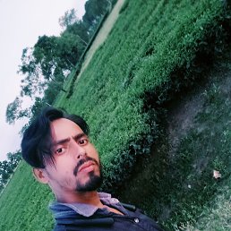  Fugf, , 37  -  19  2022