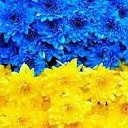 ���� ���, ����� - ��������� 2 ����� 2022 � ������ ���� ����������