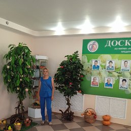 , 33 , --