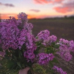 , , 21 