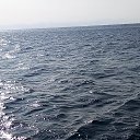 ���� ����, ���������, 47 ��� - ��������� 13 ������� 2023 � ������ ���� ����������