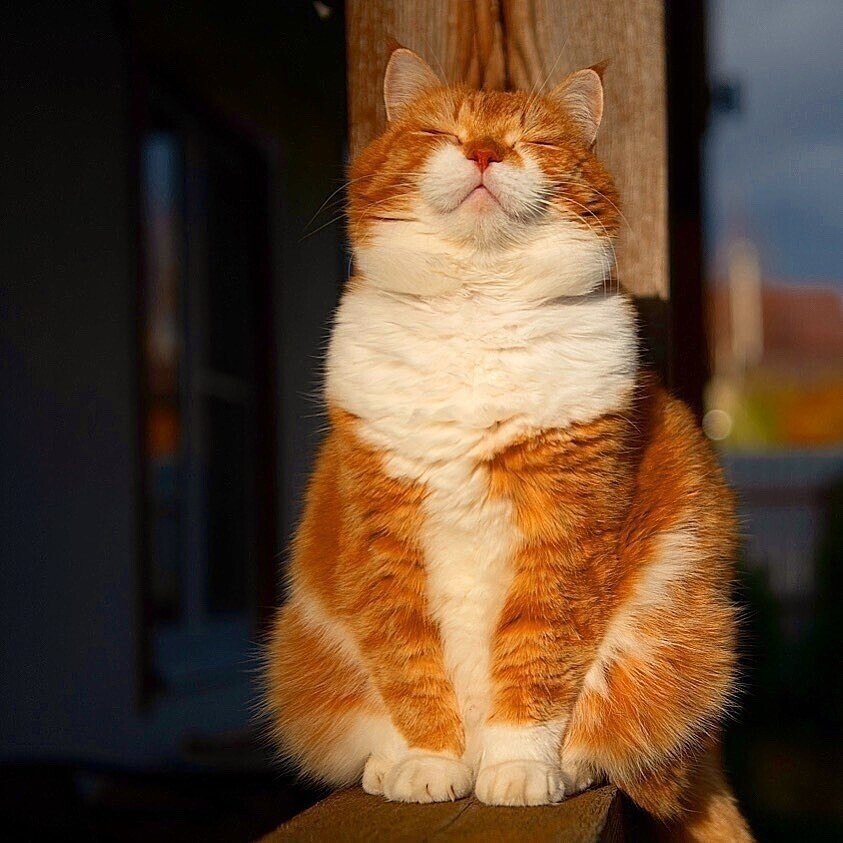 ˨...     . ,  .  .   ,  , ... - 2