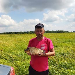 ������, ������, 55 ���