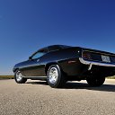 ���� ������, ������, 41 ��� - ��������� 16 ������ 2022 � ������ ���� ����������